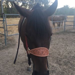 Meet your Posher, Kaylynn